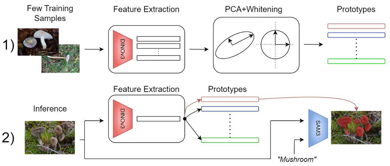 Preview for Training-Free Fine-Grained Semantic Segmentations in Low Data Regimes: A FungiTastic Baseline